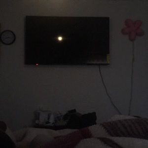 Meet your Posher, Dinorah